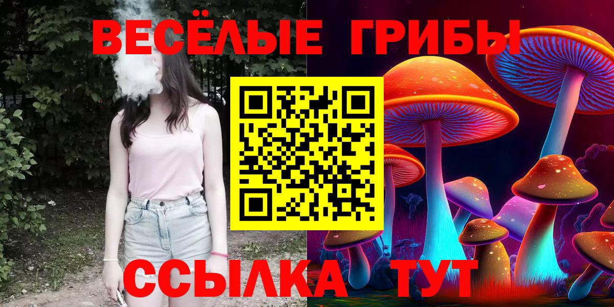 хочу наркоту  Псилоцибиновые грибы мухоморы  Галлюциногенные грибы Magic Shrooms  Вход с VPN  Казань 