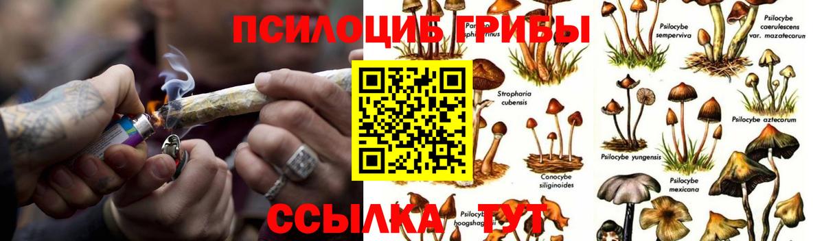 Галлюциногенные грибы MAGIC MUSHROOMS Казань